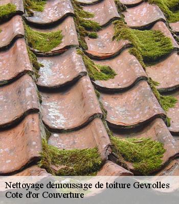 Nettoyage demoussage de toiture  gevrolles-21520 Cote d'or Couverture